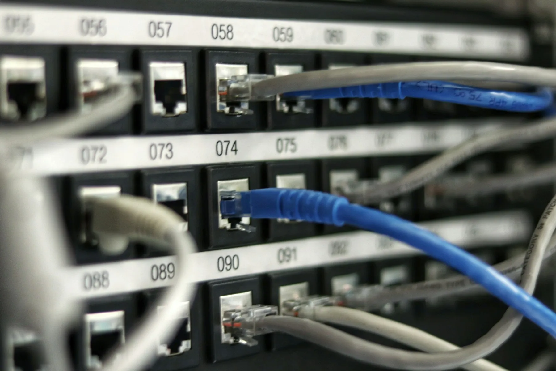 Blue and grey Ethernet cables plugged into a numbered network patch panel.